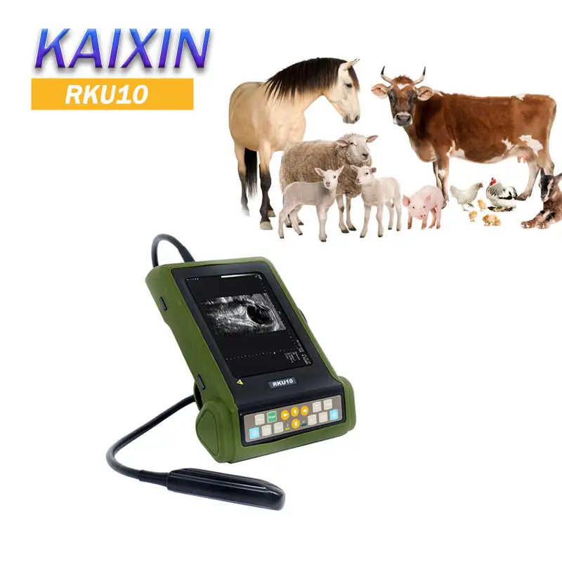 Instrumentos de diagnóstico ultrasónico para uso veterinario, instrumento digital completo con modo B, RKU10