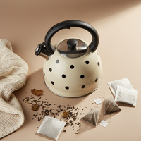 Bouilloire à eau Sanny de haute qualité, 3,0 L, en acier inoxydable, compatible induction, écologique, fonction sifflet, lave-vaisselle