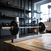 SKSPORT Haltérophilie en gros Haltérophilie Haltérophilie Gym Curl Réglable Barre d'haltères