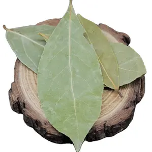 1kg Wholesale cleaned dry bay leaf spice raw Indian bay leaves for food