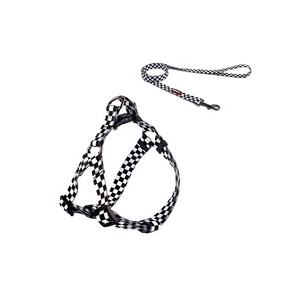 <span class=keywords><strong>Collar</strong></span> y correa para perro, suministros de alta calidad para todas las estaciones - Product Image 3