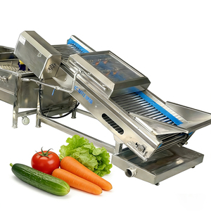 Lavadora Industrial de Verduras y Frutas con Sistema de Recirculación de Aire y Burbujas - Product Image 3