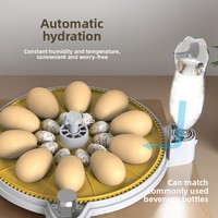 Incubateur d'œufs de volaille automatique intelligent haut de gamme pour l'élevage et l'aquaculture, destiné à l'exportation