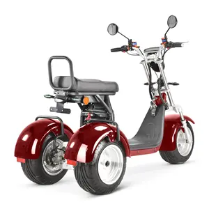 US/EU warehouse three wheel electric passenger tricycle for adults dual motor 4000w electric bike 25kmh 45kmh speed citycoco coc