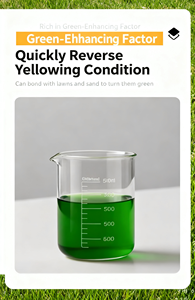 Pintura Natural <span class=keywords><strong>para</strong></span> Césped <span class=keywords><strong>de</strong></span> Color Directo <span class=keywords><strong>para</strong></span> Campos <span class=keywords><strong>de</strong></span> Golf y Áreas <span class=keywords><strong>de</strong></span> Césped Seco - Product Image 4