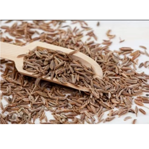 Cumin Seeds Premium Quality Whole Natural Farm Fresh Raw Cumin Spice Export Grade Cooking Ingredient Wholesale Supply Daily Use - Product Image 3