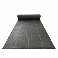 Rouleau de tissu de bloc de mauvaises herbes tissé blanc perméable et stabilisé aux UV couverture de sol en PP pour serre