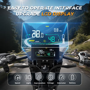 Bicicleta Eléctrica de Montaña Varun de Alta Velocidad, 45 km/h, Motor Peak de 1000 W, Neumáticos Gruesos de 20 Pulgadas, Autonomía de 100 km, Bicicleta Eléctrica Todoterreno para Ciudad - Product Image 6