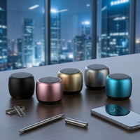 Mini enceintes avec volume élevé, mini canons en acier, équipement audio sans fil portable pour l'extérieur