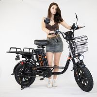 Vélo électrique DSY Monster M2 800W 60V21Ah 16'' en acier avec coffre, chargeur USB pour téléphone, amortisseur, vélo électrique