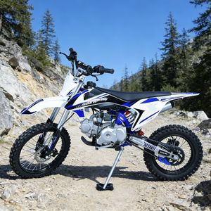 Moto da Cross 125cc a <span class=keywords><strong>4</strong></span> Tempi a Benzina con Ruote da 17 Pollici e Certificazione CE da Produttore Verificato - Product Image 1
