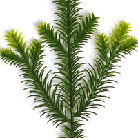 Vente en gros de brins d'aiguilles de pin artificielles en PE pour Noël, personnalisables en taille, décoration de sapin de Noël pour cadeau de fête