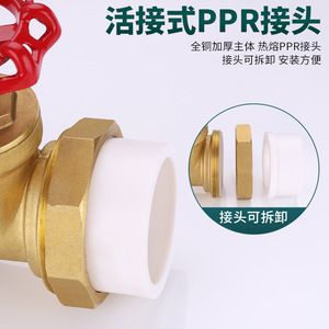 Ppr Ppr20-63 - Product Image 2