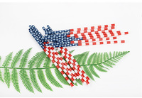 Pailles à boire en plastique imprimées réutilisables faites sur commande, pailles d'impression en plastique dur avec la conception de drapeau des Etats-Unis