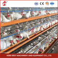Conception de dessin Cages de batterie de poulet de couche de ferme avicole pour 5000 couches
