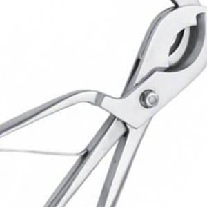 เครื่องมือสัตวแพทย์สแตนเลสมืออาชีพเครื่องมือสัตวแพทย์ - Product Image 5