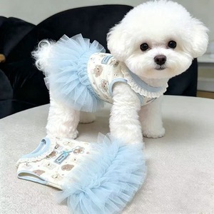 Robe bouffante en tulle style princesse d'été avec imprimé dessin animé mignon en peluche <span class=keywords><strong>pour</strong></span> chiens de compagnie - Product Image 1