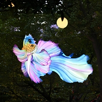 Lanternes en soie personnalisées en forme de poisson Betta fabriquées à l'usine de Zigong |   Lumières LED imperméables en forme d'animaux pour les fêtes et décorations de vacances