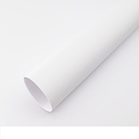 Sentao Paper 250 Gsm 31x43 Inch A4 A3 12X12 Inch Smooth Color Paperboard Paper Cardstock for Tag and Bag