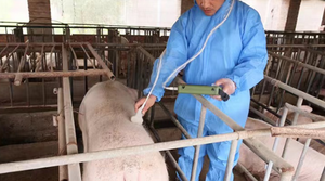 Mesin Ultrasound dokter hewan portabel terbaik Tiongkok dengan Doppler warna untuk Diagnosis - Product Image 4