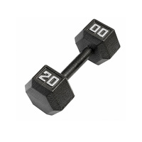 Set Dumbbell Heksagonal Kustom OEM, Beban Gym Ergonomis dari Besi Cor dengan Rak untuk Latihan di Rumah bagi Pria dan Wanita