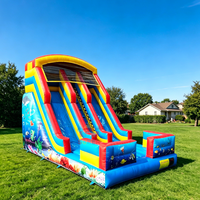 Toboggan aquatique gonflable en PVC sur le thème de l'océan, personnalisé pour usage résidentiel, double piste, pour intérieur/extérieur, avec zone de saut, pour enfants d'âge scolaire