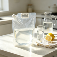 Pochette de 3L transparente de qualité alimentaire avec bec verseur pour riz et aliments – Emballage portable