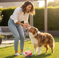 Jouets interactifs pour chiens, jouet en peluche pour animaux de compagnie en forme de dessin animé, mobile et lavable, jouet à billes pour chien rechargeable avec son parlant