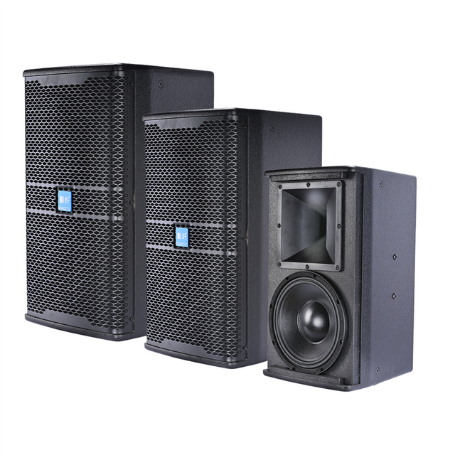10-Inch Full-Range Speaker - Professional Audio for Karaoke Rooms/Dance Studios/Meetings