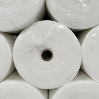 Grande bâche de protection pour meubles, personnalisable, tout GSM, toile transparente la plus épaisse, anti-goutte, facile à nettoyer, usage commercial et DIY
