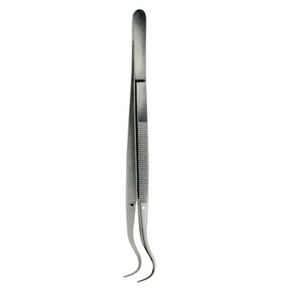 Pinzas Dentales de Algodón de Calidad Premium, Pinzas Ortodónticas de Acero Inoxidable, Instrumento Médico de Precisión para Clínica y Laboratorio - Product Image 6