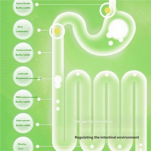 Suplemento Probiótico en Polvo Universal para la Salud <span class=keywords><strong>Gastrointestinal</strong></span> de <span class=keywords><strong>Perros</strong></span> y Gatos, Refuerzo del Sistema Inmunológico y Salud Articular - Product Image 4