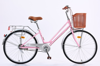 Bicicleta Cómoda NO.1