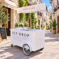 Chariot de nourriture mobile pour café et en-cas, remorque de vente en plein air