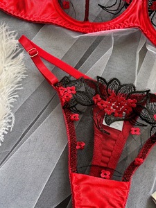 Wholesale Floral Embroidery Lingerie <b>Set</b> Sheer Mesh Underwire Bra and Thong 2 Piece <b>Set</b> <b>Sexy</b> Lace Womens Intimates Underwear <b>Set</b> - Product Image 5