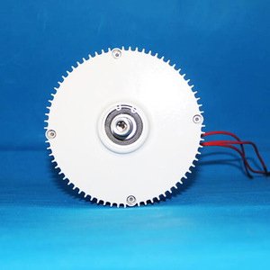Générateur à aimant permanent 300W 12V 24V portable sans entretien pour usage domestique - Product Image 2