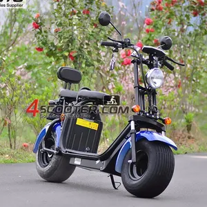 EEC approved citycoco electric bike with two removable battery New brand 2018 citycoco spare parts