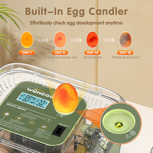 Wonegg meilleure qualité <span class=keywords><strong>automatique</strong></span> poulet <span class=keywords><strong>12</strong></span> incubateurs d'oeufs de volaille oeufs à couver Mini pour poulet double utilisation d'oeufs de caille - Product Image 6