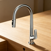Robinet de cuisine extractible WEIHAO en chrome poli, bec haut, deux modes de pulvérisation, monocommande, pour évier de cuisine domestique, usage quotidien