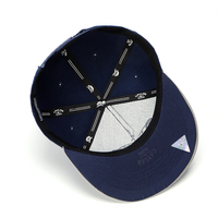 Gorra Snapback Personalizada con Logotipo Bordado en 3D, Gorra de Béisbol de Visera Plana de Algodón para Hombre y Mujer, Bordado Personalizado
