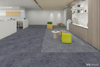 Rouleau de tapis de haute qualité pour une utilisation intérieure pour les portes de bureaux d'hôtel Couloir extérieur