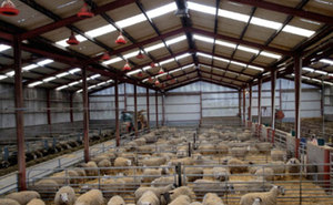 Abris pour élevage de chèvres préfabriqués bon marché Abris pour élevage de chèvres Abris pour élevage de chèvres - Product Image 6
