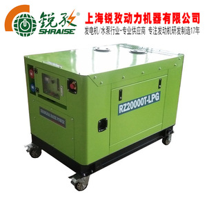 Generador de Gas LPG Shanghai Raise Power RZ20000T de 20kW Trifásico, Portátil y de Bajo Ruido - Product Image 5