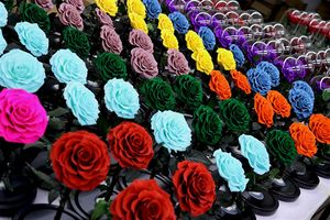 2025 añosCupula De La <span class=keywords><strong>Bella</strong></span> Y Bestia <span class=keywords><strong>Flor</strong></span> En Caja Y Eternity Red Roses In The Glass Domebest Quality - Product Image 4