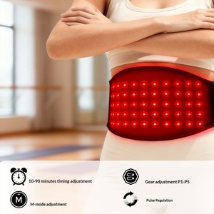 Nouvelle ceinture de physiothérapie infrarouge transfrontalière à 100 LED rouges, alimentation USB, cordon de 1,5 m, double bande chauffante pour voiture - Product Image 2