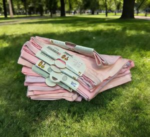 New Stock <strong>Children's</strong> Clothing <strong>Girls</strong> Kids <strong>Swimsuit</strong> Summer Clothes For Kids Kids <strong>Girl</strong> <strong>Children's</strong> Underwear <strong>Girls</strong> - Product Image 5