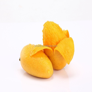 Doğal meyve koku yağları üreticisi, toptan kokulu mum yapımı için zenginleştirilmiş <span class=keywords><strong>Mango</strong></span> yağı % 100% saf | Uzun ömürlü 1KG - Product Image 3
