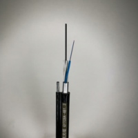 Cable de fibra óptica de 2 núcleos personalizado para exteriores, autosuficiente, Figura 8 aérea GYTC8S para fabricante de Telecomunicaciones