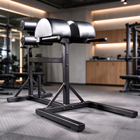 Chaise romaine GHD réglable, banc d'hyperextension, machine de développement des muscles fessiers et des ischio-jambiers pour l'entraînement du tronc et du dos, équipement de gym professionnel