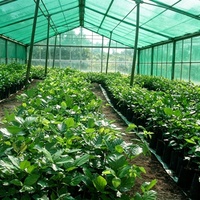 Op maat gemaakte 30% 50% 70% 80% schaduwnet van groene HDPE gebreide stof voor bescherming van groenten tegen de zon, hoge kwaliteit, duurzaam